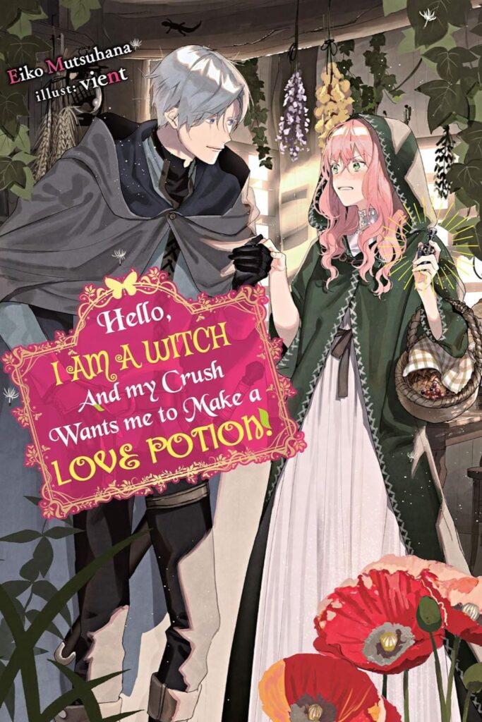 Hello, I'm a Witch and My Crush Novel Book Cover